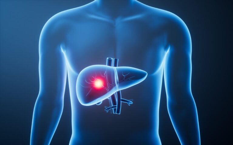 Hepatites Virais 1 orgao figado no corpo humano transparente renderizacao 3d Grande